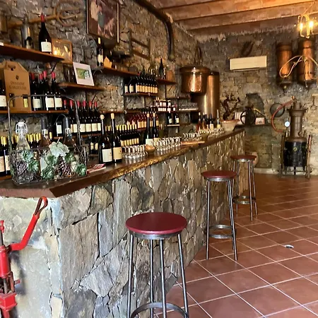 Du Vignoble Otel Patrimonio