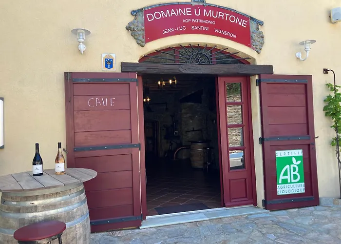 Du Vignoble Отель