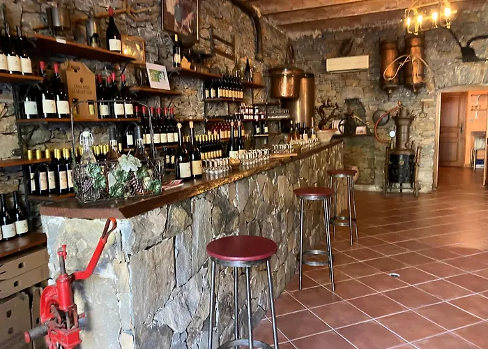 Du Vignoble Hotell Patrimonio