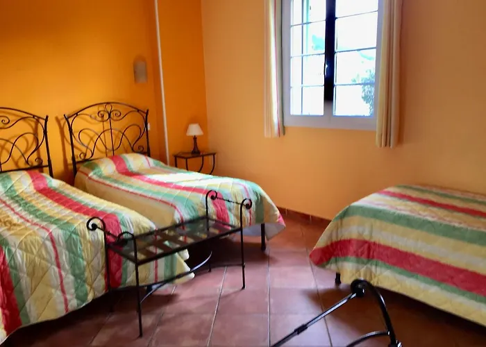 Du Vignoble Patrimonio